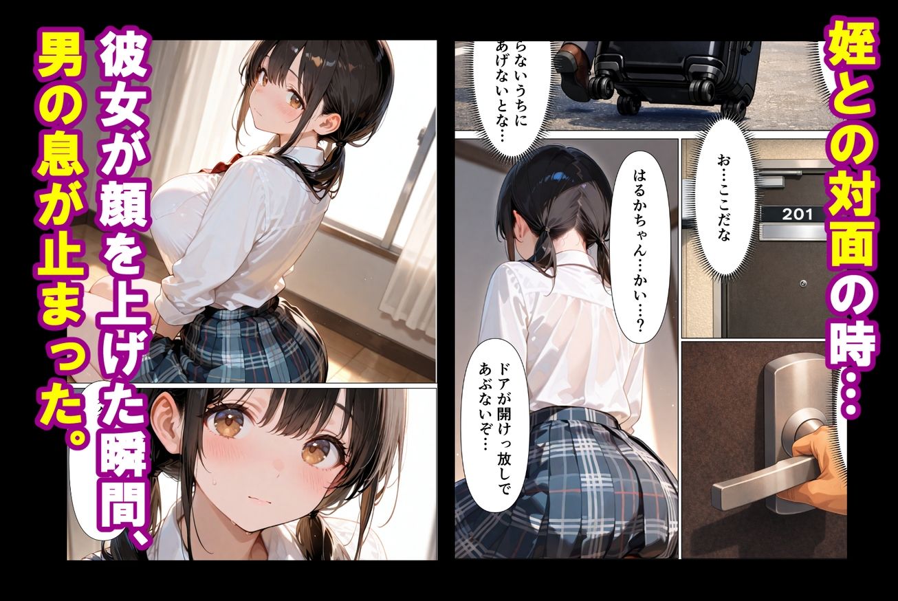 実姉を奪い損ねた男が、姉にそっくりな姪に、執着の精子をどろどろと注ぎ込む話 画像4